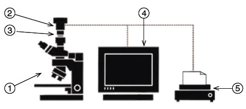 Expert Set - ���������� ������� � �����������