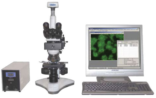 MICROS : MC 300 (TFXS)     