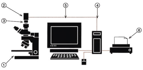 PC Set - ������������ ������� ������� � �����������