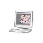 BioVision -        