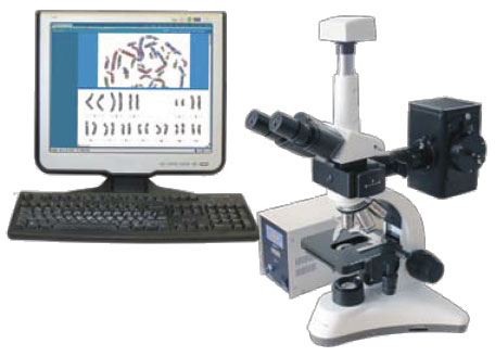 KaryoFISH - ����������� ����������� ��� ������������ �������