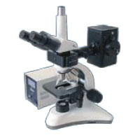 ������������� �������������� ���������