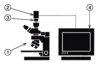 Video Set ���������������