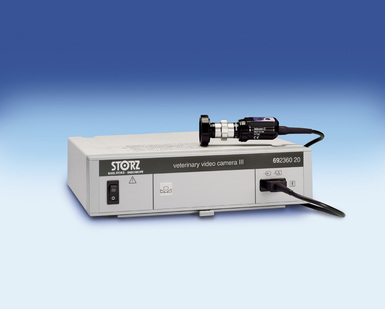 ���� ���������� ������������ III ��� ����������� � �������� ������